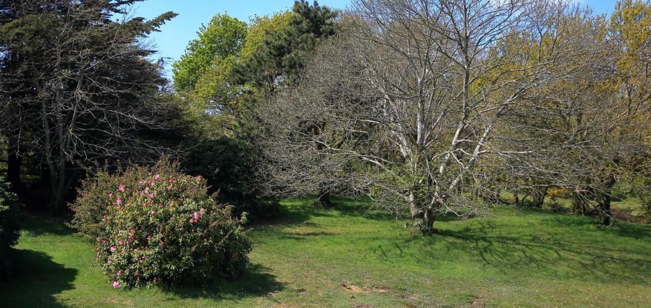 Aux Arbres Chanteurs Ploulech Exterior foto